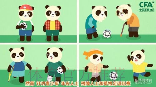 《熊猫说球》第三集:球和球场 《熊猫说球》第三集:球和球场